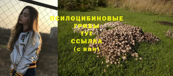 a pvp Абаза