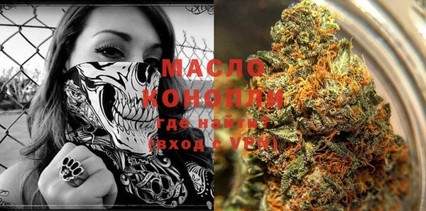 тгк Сатка